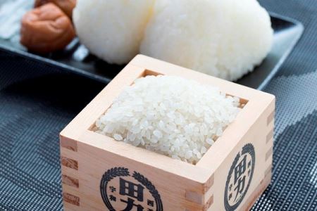 令和５年産　田力米（コシヒカリ30kg）