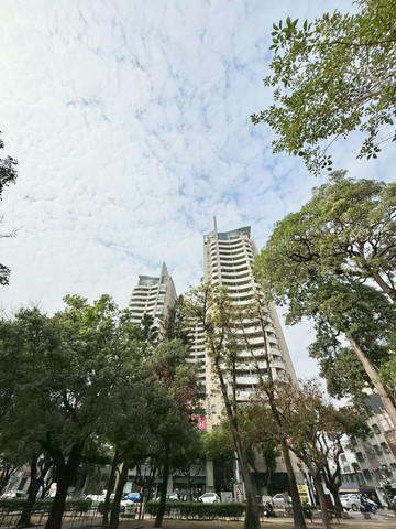 東方巨人｜四房平車豪邸｜主加陽約50坪｜台南市東區長榮路一段