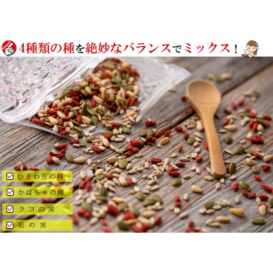 元気のタネ 4種 ミックスナッツ おつまみ 1kg（500g×2個） うす塩味（ ひまわりの種 かぼちゃの種 クコの実 松の実 ） ナッツミックス 塩味 無添加 砂糖不使用