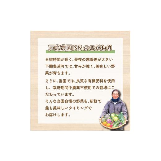 ふるさと納税 山口県 下関市  干し柿 下関産横野柿 20個 高糖度 季節限定 下関 山口