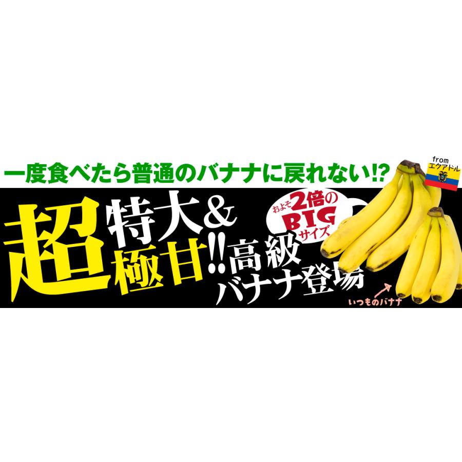 バナナ 1房 エクアドル産 特大バナナ ご家庭用 ハンドバナナ 約2〜3kg前後  送料無料 食品