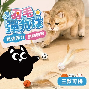 羽毛彈力球 羽毛玩具 跳跳球 彈跳球 足球/籃球/棒球 寵物玩具 貓狗玩具