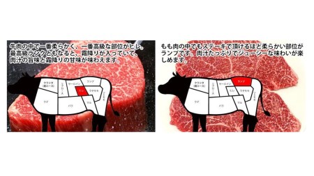 土佐和牛プレミアムビフテキセット 和牛ステーキ肉4枚セット　牛肉