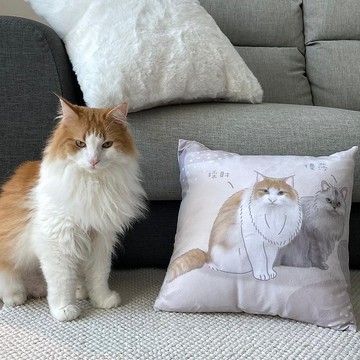 客製似顏繪 | 人像 寵物 多款抱枕 紀念禮物(含卡片一張)