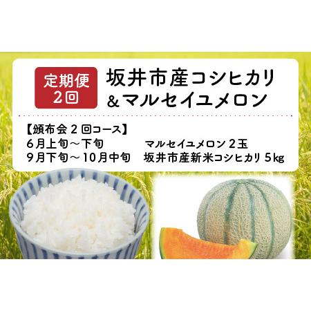 ふるさと納税  マルセイユメロン 2玉 ＋ 坂井市産新米コシヒカリ 5kg 【2024年6月上旬より順.. 福井県坂井市