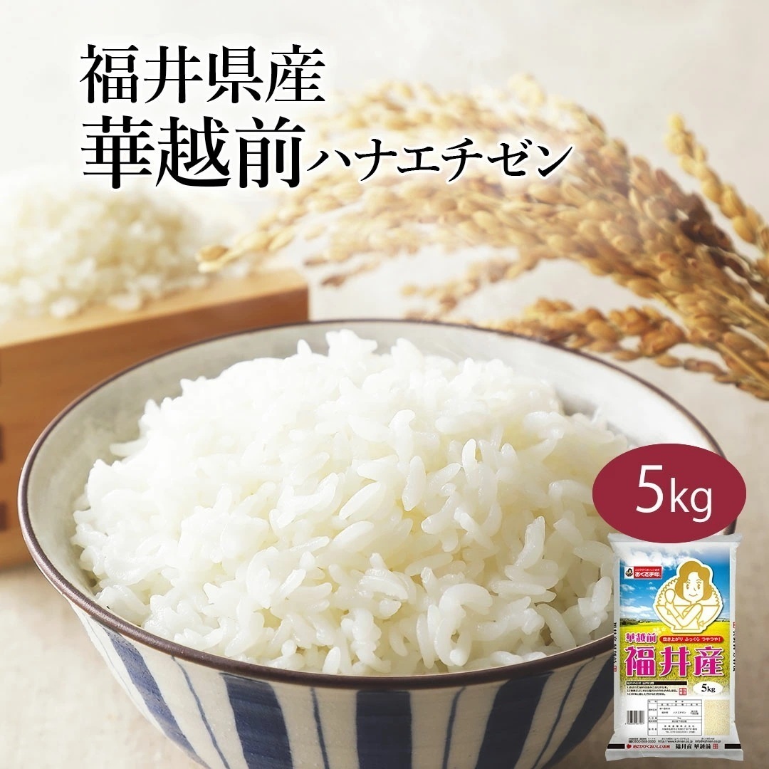 米 福井県産 華越前 ハナエチゼン 5kg 令和5年産 新米 お米 こめ 5キロ 安い おこめ 白米 国産 食品 ギフト 引っ越し 挨拶 内祝い お中元 お歳暮 送料無料 おくさま印