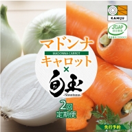 にんじん 新玉ねぎ 定期便 2回　旬の美味しい季節にお届け マドンナキャロット 旬玉　H105-107