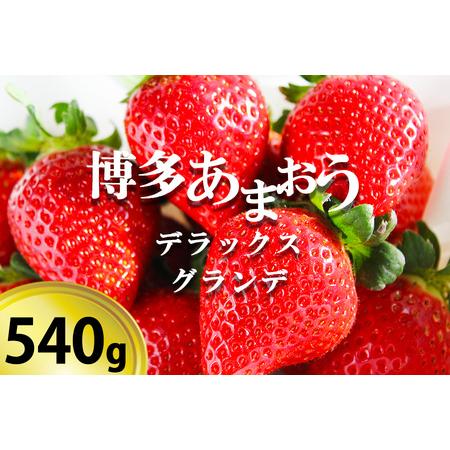 ふるさと納税 いちごの王様「博多あまおうデラックス＆グランデ」２パック 福岡県小郡市