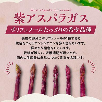 ふるさと納税 高松市 アスパラガス食べ比べ(紫500gとさぬきのめざめ500g)　約1kg