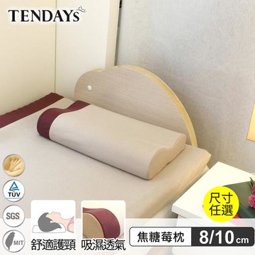 【TENDAYS】玩色柔眠記憶枕 單入(焦糖莓 8/10cm高 任選)