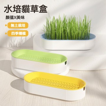 【喵主子】 水培貓草盒 貓草種子 無土水培盒 栽培盒 貓草盆栽 水培貓草 小麥草種植 貓零食 貓咪化毛 貓用品