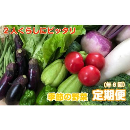 ふるさと納税 定期便 野菜 6回 9〜10種類程度 2人暮らしにぴったり 南国土佐のお野菜食べきりサイズ セット 詰め合わせ 季節 新鮮 産地直送 高知.. 高知県須崎市