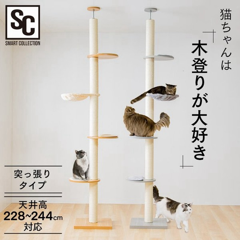 キャットタワー 木製 突っ張り スリム 猫タワー おしゃれ 省スペース 大型 大型猫 ハンモック 木登りキャットタワー Kcct 244 爪とぎ 麻 多頭飼い 通販 Lineポイント最大0 5 Get Lineショッピング