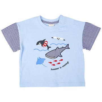 akachan honpo - 短袖T恤 格紋袖-幼兒-淺藍色