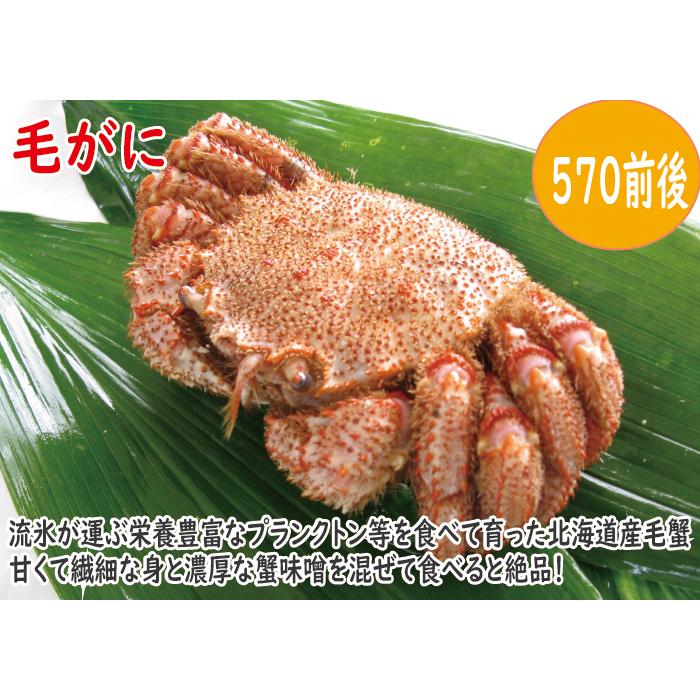 かに カニ 蟹　早割価格！蟹三昧セット　総重量2ｋｇ以上！　たらば、毛かに、花咲かに　送料無料