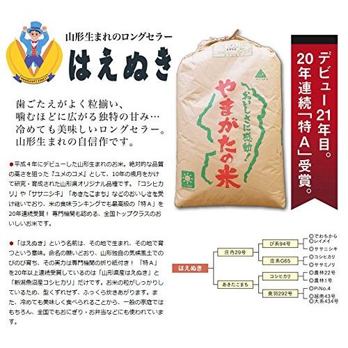 山形県産 はえぬき 令和2年度産 米問屋蔵之助 (白米 5kg)