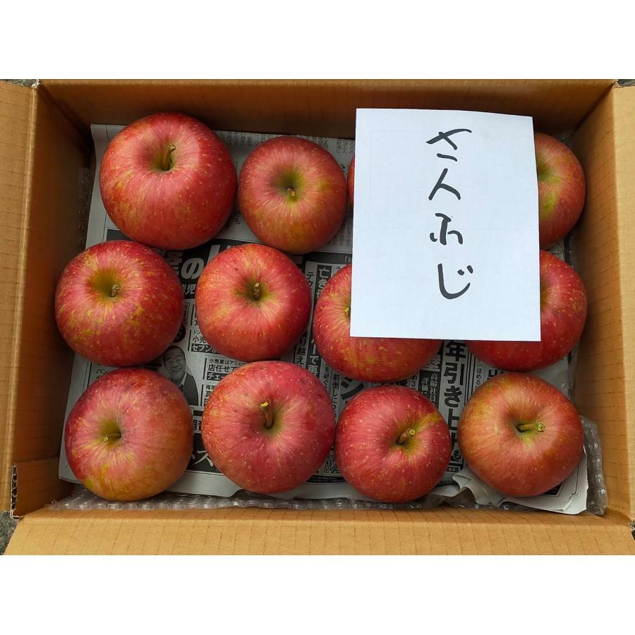 りんご  青森県産 サンふじ 訳あり 3kg 送料無料 林檎
