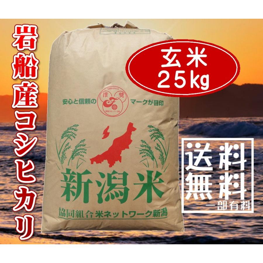 4年産　新潟県岩船産コシヒカリ　玄米　25ｋｇ　送料無料（一部有料）