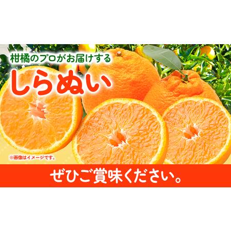 ふるさと納税 不知火 デコポン と同品種 しらぬい 約 5kg (L〜5Lサイズ) どの坂果樹園《2月中旬-4月上旬頃出荷》 和歌山県 日高川町 し.. 和歌山県日高川町