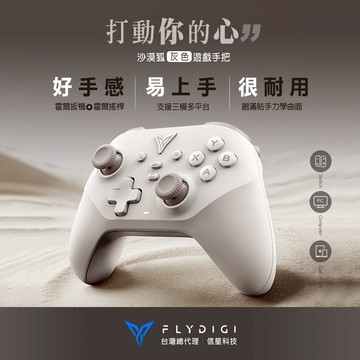 FLYDIGI 飛智 沙漠狐 遊戲手把 (灰色/國際版)_台灣總代理 信星科技