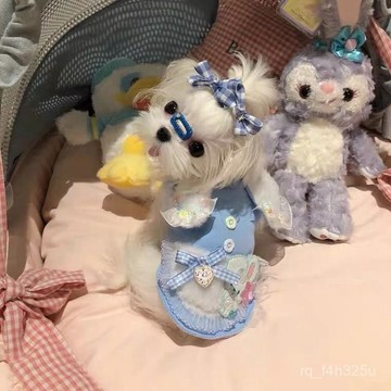 【限時特賣】寵物衣服  寵物搞怪衣服 秋冬手工五彩兔小型犬約克夏小馬比熊泰迪貓貓冬衣
