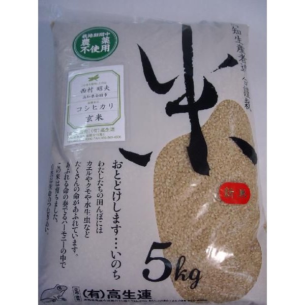 「新米」農薬不使用　コシヒカリ玄米10kg(5kg×2）　高知県2023年産