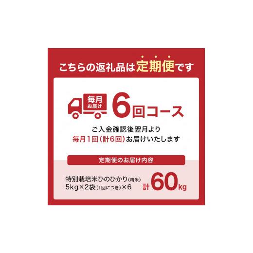 ふるさと納税 京都府 木津川市 お米60kg（10kg×6回）特別栽培米