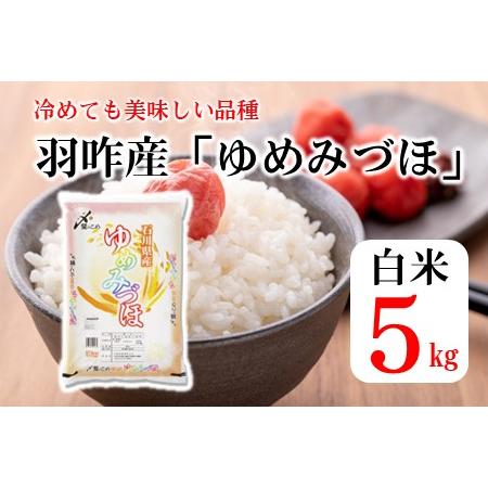 ふるさと納税 [A147] 《R5年産》ゆめみづほ　5kg（5kg×1袋） 石川県羽咋市