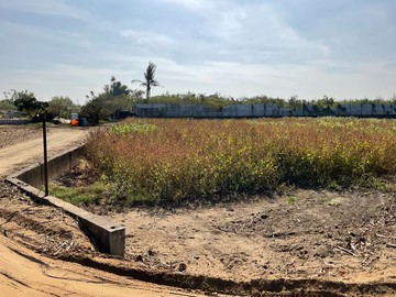 台南歸仁高鐵旁百坪農地｜台南市歸仁區林子邊段