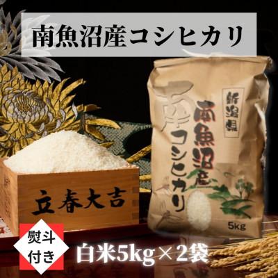 ふるさと納税 南魚沼市 南魚沼産こしひかり(白米10kg)新潟県の美味しいお米