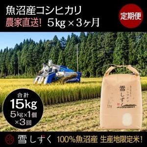 ふるさと納税 定期便！魚沼産コシヒカリ毎月5kg×3回 新潟県十日町市