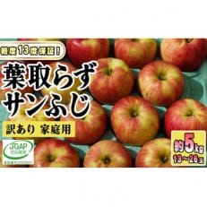  家庭用 葉取らずサンふじ 約5kg 青森県産りんご