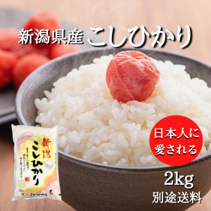 新潟県産 コシヒカリ 2kg（2キロ×1袋） 米 2キロ 精米 令和4年 2kg お米 2kg 安い 令和4年産 産地直送 ギフト