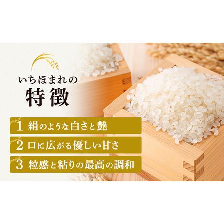 ふるさと納税 無洗米 令和５年産 いちほまれ 10kg 福井 高級ブランド米 お米 おこめ 米 コメ こめ 白米 精米 ご飯 ごはん 福井県 福井県若狭町