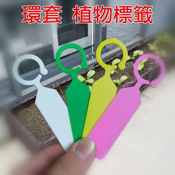 【珍愛頌】N071 環套花牌 花卉標籤 果樹標籤 花卉牌 蘭花名牌 防水標籤 環扣標籤 記號牌 園藝標籤 苗木 葡萄標籤