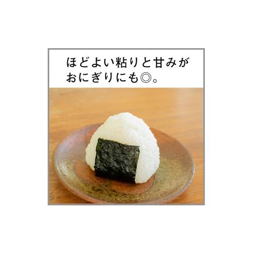 ふるさと納税 北海道 厚真町 《令和5年度産 新米》13年連続特A受賞　北海道・胆振のブランド米　毎月5ｋｇコース