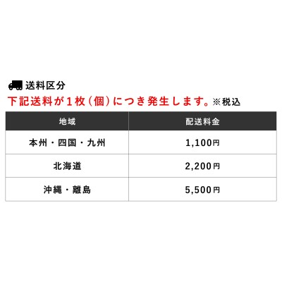 エコめがね 産業用 全量10年プラン モバイルパックRS(パワコン接続