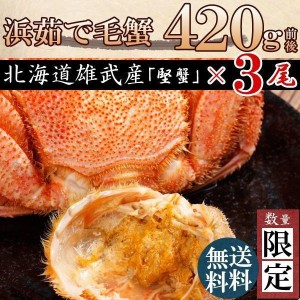 毛ガニ 毛蟹 カニ 蟹 姿  特大 北海道産 ボイル 毛がに 毛蟹 420g×3尾 かに けがに ギフト プレゼント 送料無料 お買い得 かにみそ