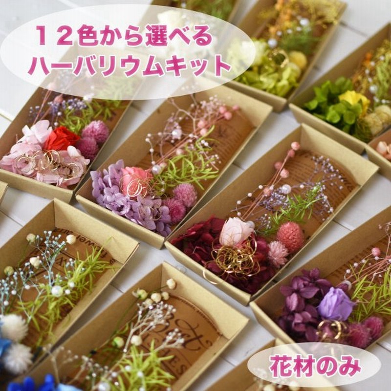 ハーバリウム 花材のみ バラ あじさい かすみ草 パール プリザーブドフラワー キット Hk117 通販 Lineポイント最大0 5 Get Lineショッピング