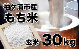 袖ケ浦産　もち米30kg（玄米）