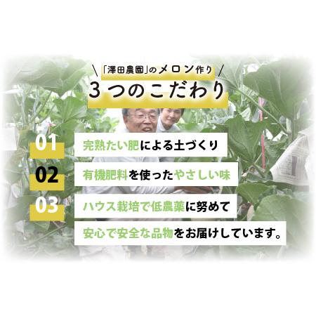 ふるさと納税 マスクメロン・ペルルメロン 2種セット(2玉入）大玉で食べ応え抜群！／ あわら 期間限定 青肉 果物 フルーツ 産地直.. 福井県あわら市