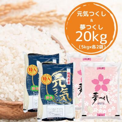 ふるさと納税 筑前町 福岡県産米食べ比べ 白米セット「夢つくし」「元気つくし」2種類計20kg 筑前町