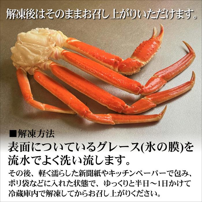 本ズワイガニ脚 ボイル済み 大 5kg 26肩前後