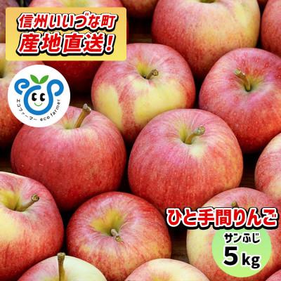 ふるさと納税 飯綱町 りんご サンふじ ひと手間りんご 5kg