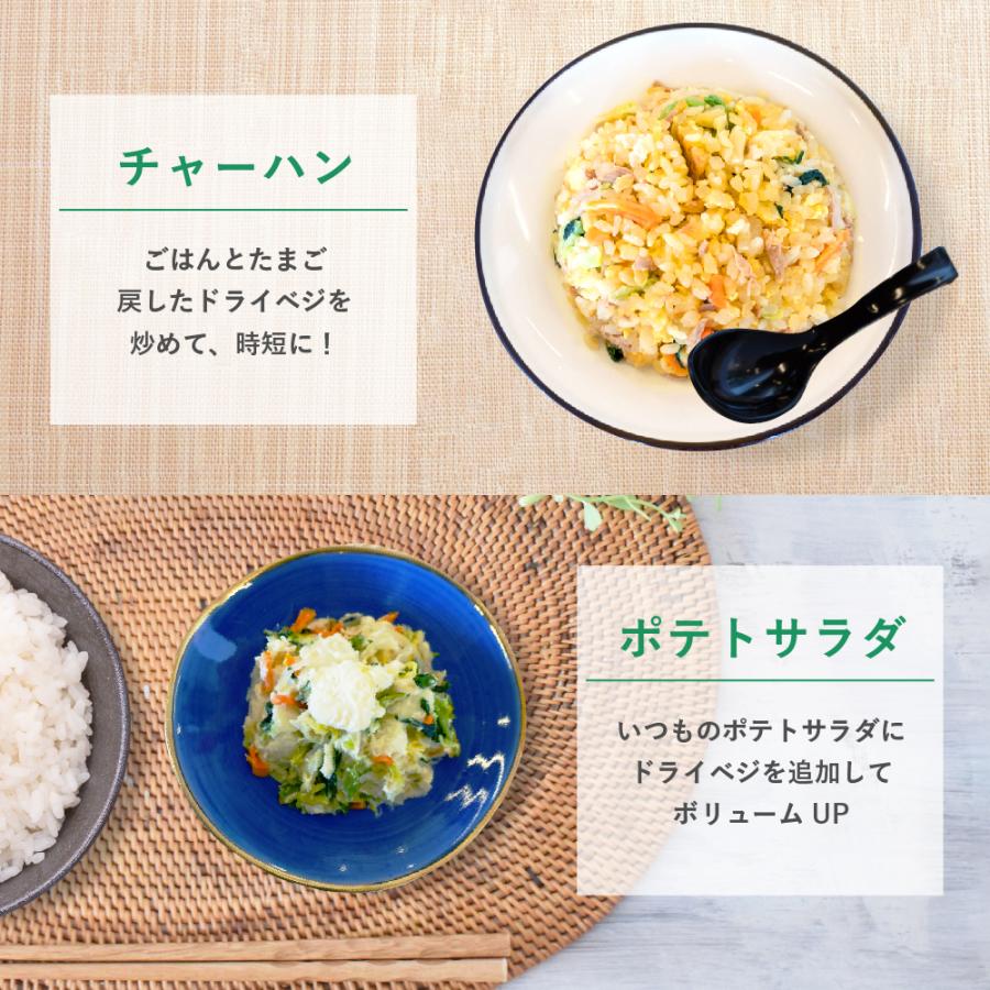 乾燥野菜 国産 DRYVEGETABLE 140ｇドライベジ ミックス 野菜 一人暮らし 常備菜 時短 味噌汁の具 キャベツ 白菜 小松菜 人参 大根 玉ねぎ