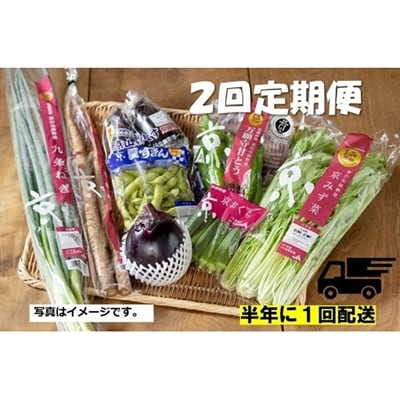 半年に1回配送!季節の京野菜セット