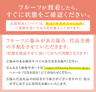 フルーツ王国山梨が誇る白桃『豊熟ブランド』2024年発送（PMK）B18-101