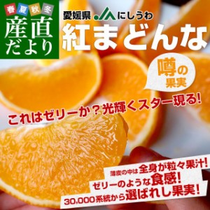 愛媛県より産地直送 JAにしうわ 紅まどんな 2LからLサイズ 3キロ(12玉から15玉) オレンジ おれんじ  送料無料　お歳暮 御歳暮