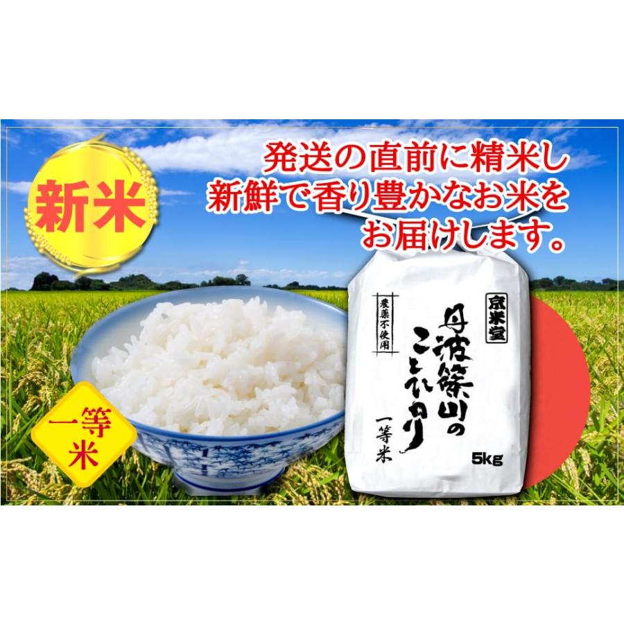 お米 10kg コシヒカリ 5分づき 5kg×2 農薬不使用 特別栽培米 兵庫県 丹波ささ山産 一等米 当日精米 令和5年産