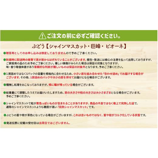 ふるさと納税 福岡県 八女市 九州・福岡フルーツ王国八女　旬のフルーツ定期便 H｜＜配送不可：北海道・沖縄・離島＞